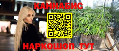 прущие грибы Моздок